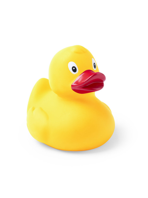 Canard Koldy