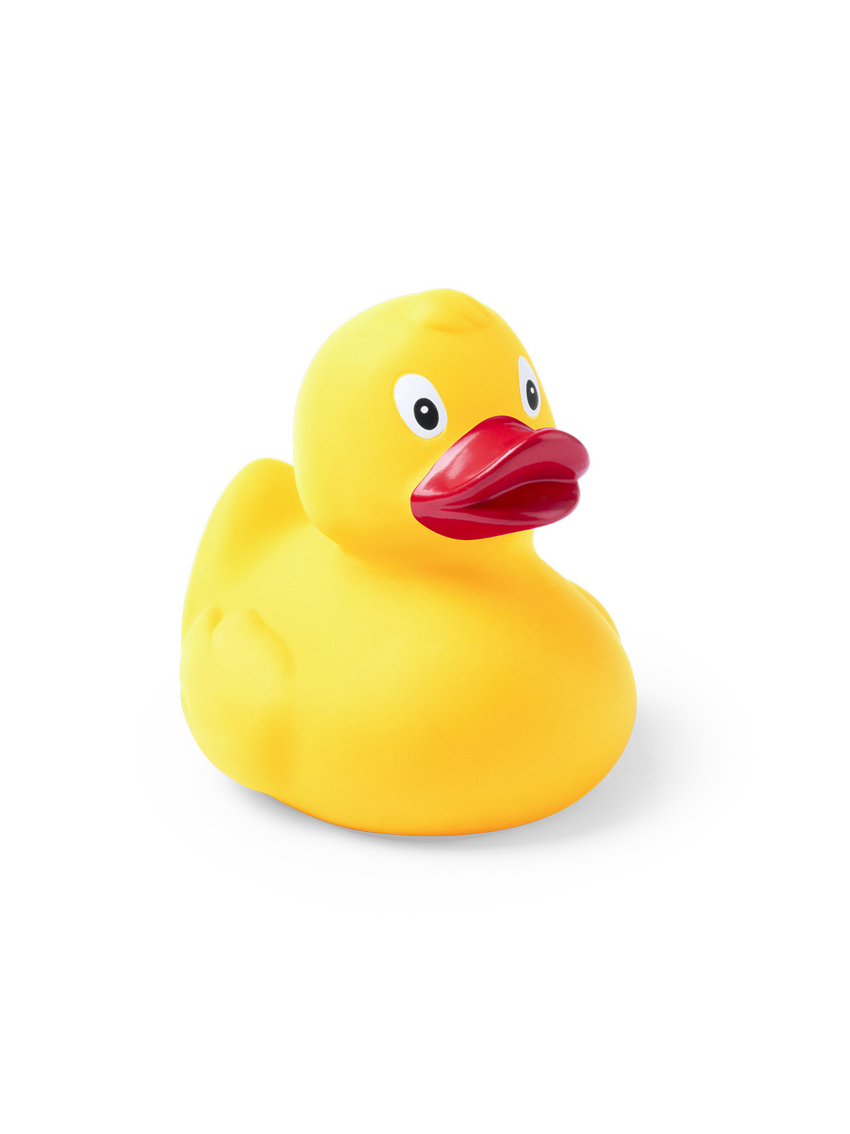Canard Koldy