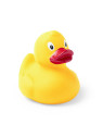 Canard Koldy