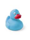 Canard Koldy