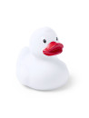 Canard Koldy