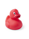 Canard Koldy