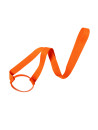 Lanyard Porte Verre Frinly