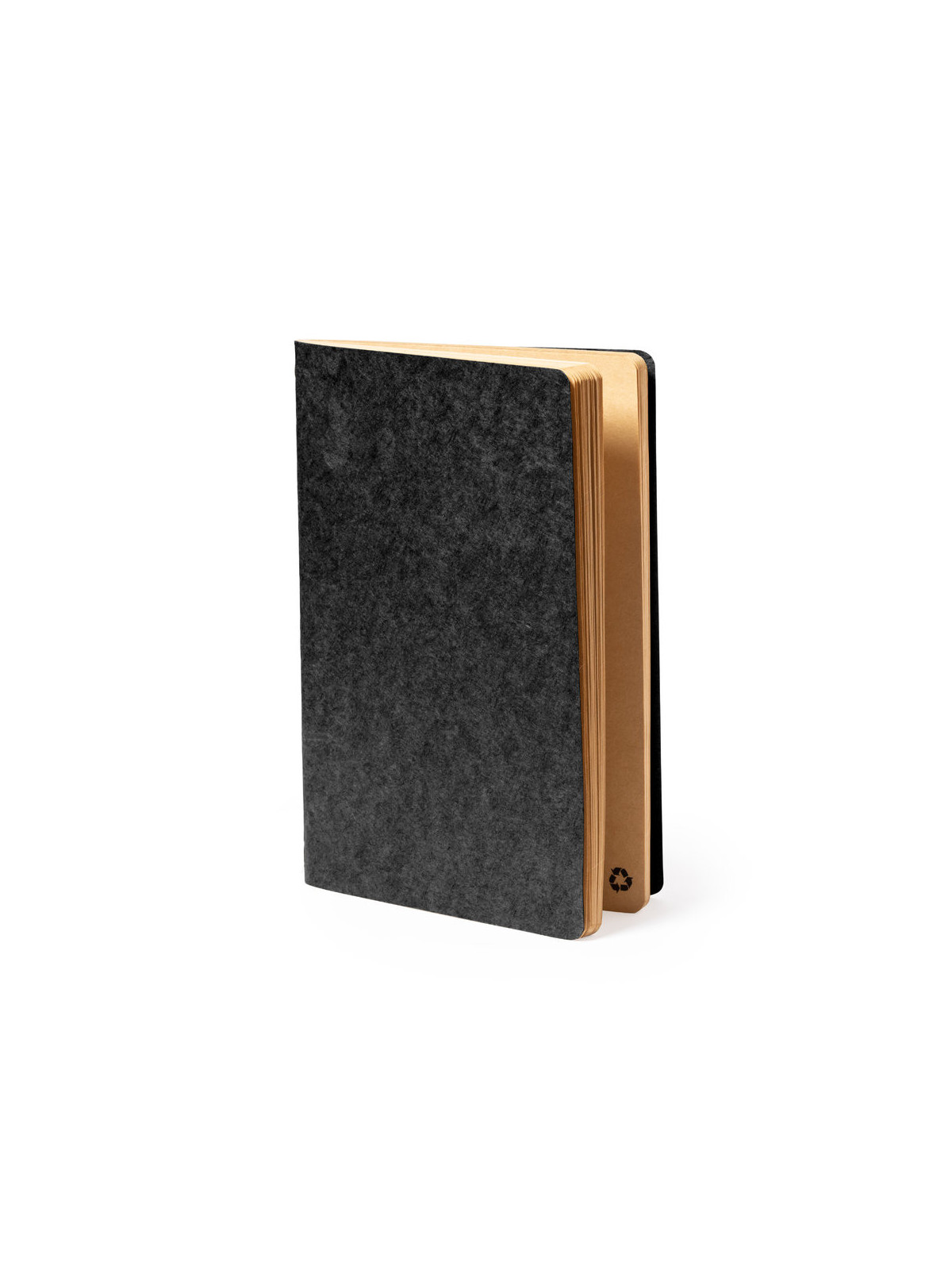 Cahier Rayish