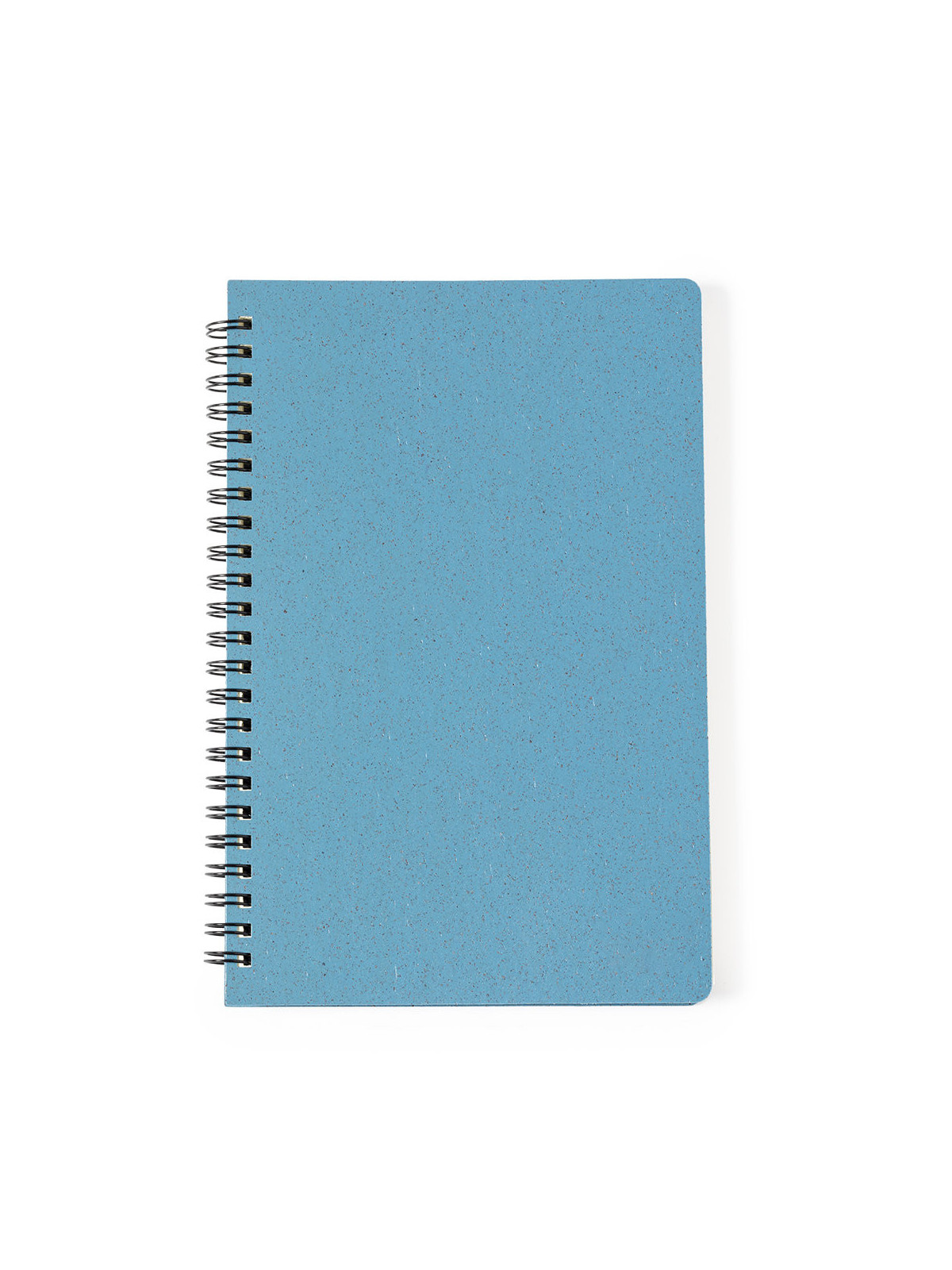 Cahier Roshan