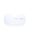 Souris Chestir RCS