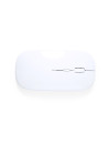 Souris Chestir RCS