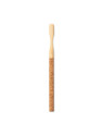 Brosse à Dents Piglet