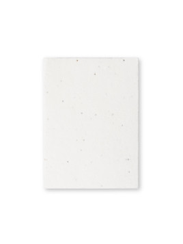 Bloc Notes Ensemencé Zomek