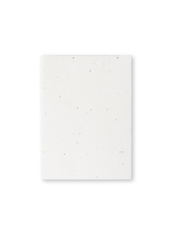 Bloc Notes Ensemencé Zomek