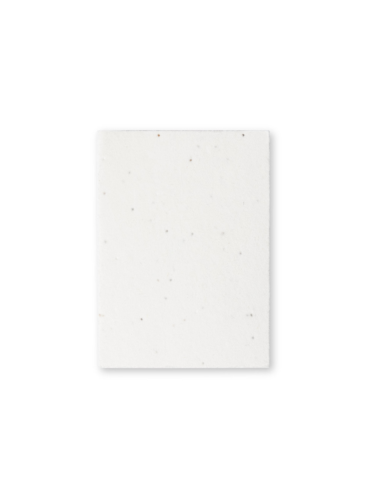 Bloc Notes Ensemencé Zomek