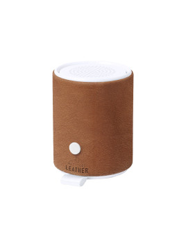 Haut-Parleur Sotep RCS