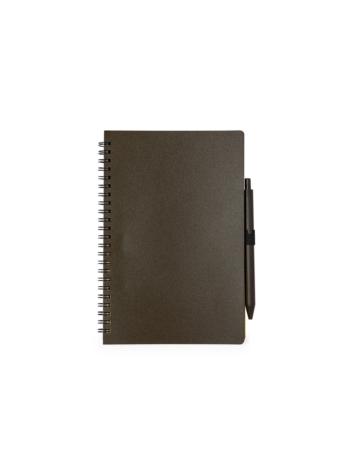 Cahier Alanna