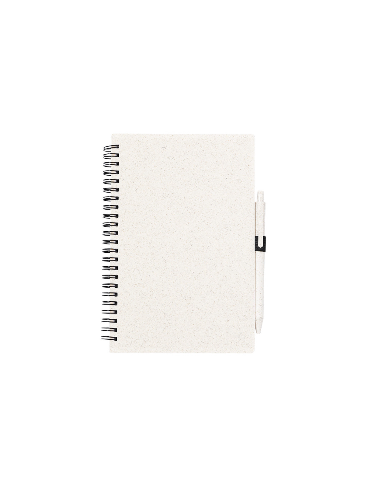 Cahier Emily