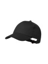 Casquette Brauner