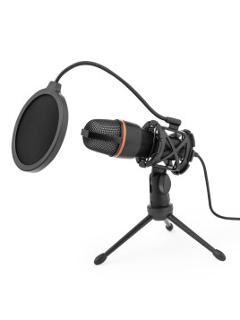 Microphone à Condensateur Densha