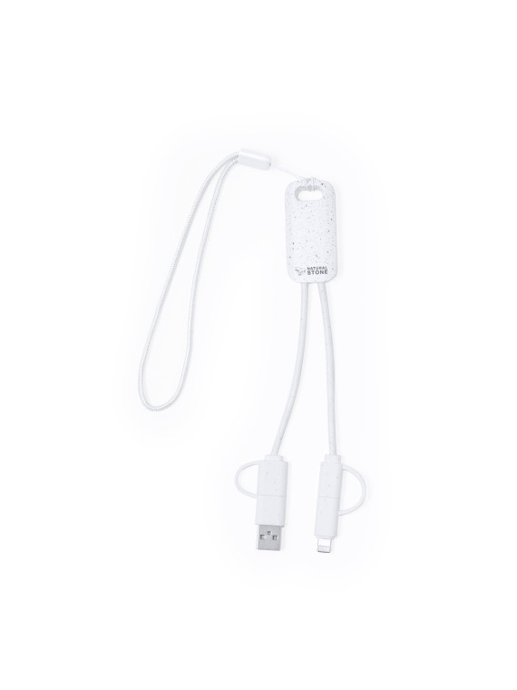 Câble de Charge Surgex