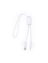 Câble de Charge Surgex