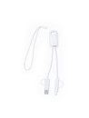 Câble de Charge Surgex