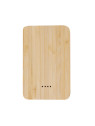 Power Bank Newin