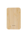 Power Bank Newin