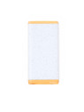 Power Bank Coquin