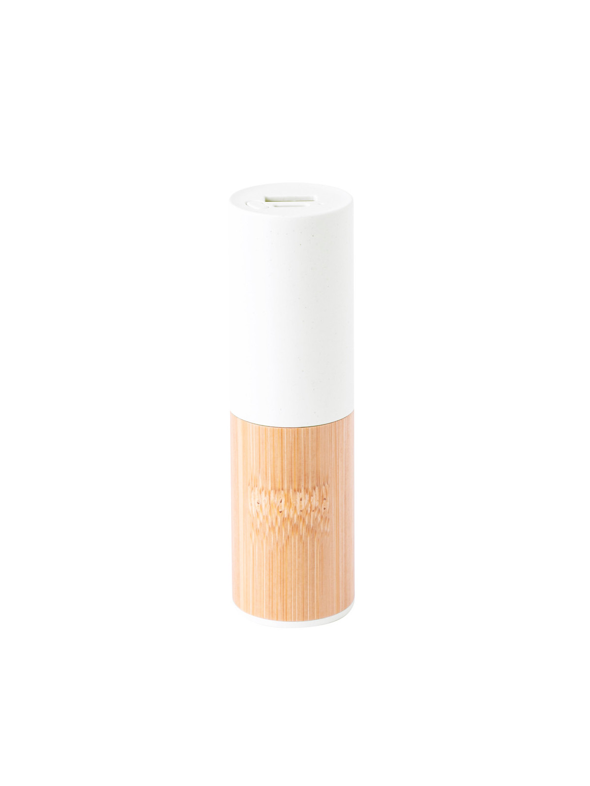 Power Bank Reneh