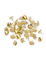 Punaises laitonnées Ø 10 mm - La boîte de 100