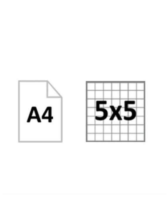 Bloc de bureau A4 OXFORD - 80 feuilles - Quadrillé 5x5 - Le lot de 2 blocs