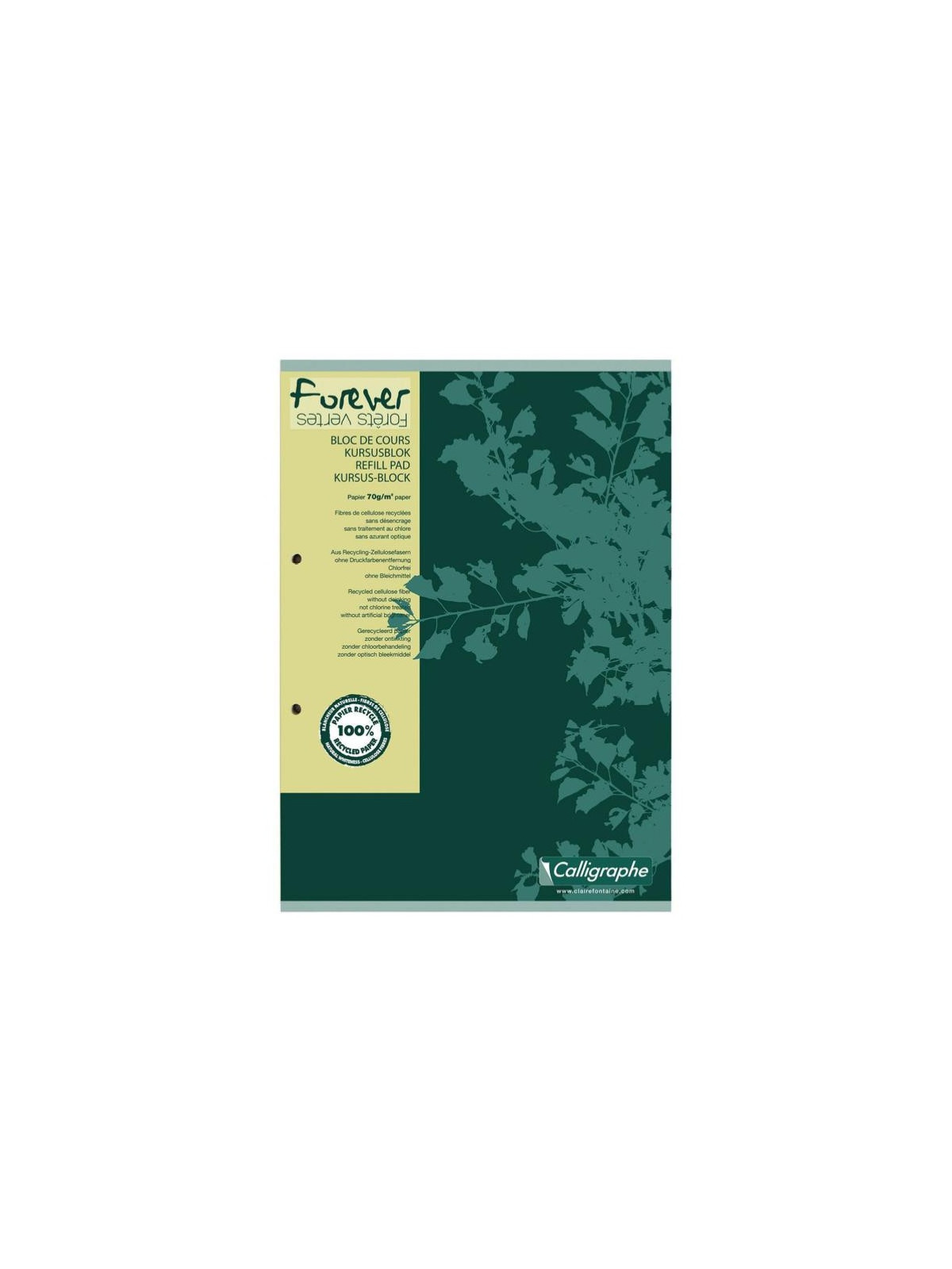 Cahier Calligraphe Forever 100% recyclé A4 - Spirales - 100 pages - Quadrillé 5x5 - 21 x 29,7 cm - Lot de 5