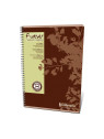 Cahier Calligraphe Forever 100% recyclé A4 - Spirales - 100 pages - Quadrillé 5x5 - 21 x 29,7 cm - Lot de 5
