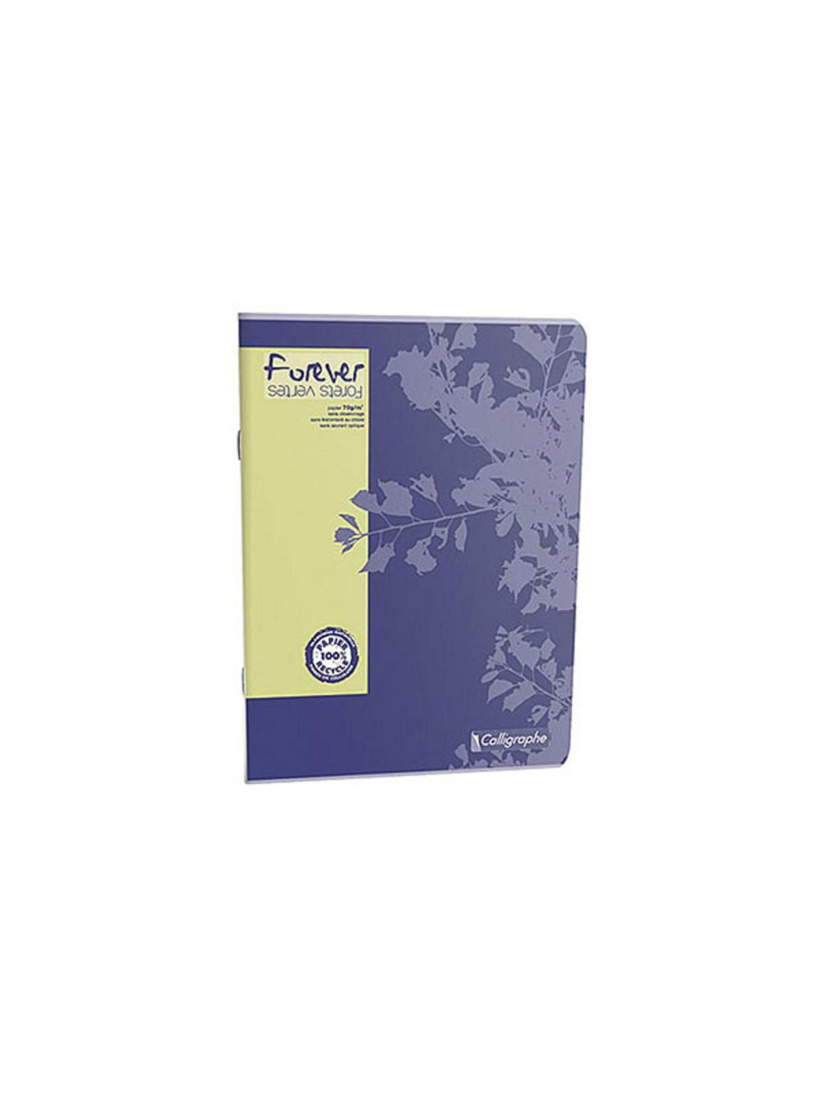 Cahier Calligraphe Forever 100% recyclé A4 - Piqûre - 96 pages - SEYES - 21 x 29,7 cm - Lot de 5