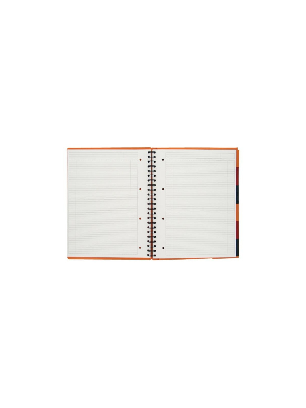 Cahier trieur Organiserbook OXFORD A4+ perforé & quadrillé 5x5 - 160 pages - Le lot de 2
