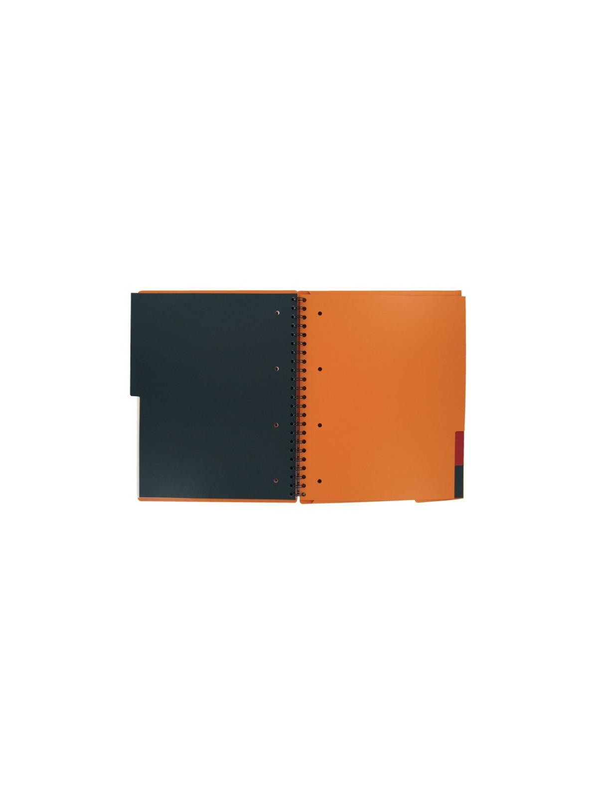 Cahier trieur Organiserbook OXFORD A4+ perforé & quadrillé 5x5 - 160 pages - Le lot de 2