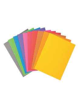 Chemises vives Exacompta A4 210g carte recyclée - Le lot de 100 - Assortiment