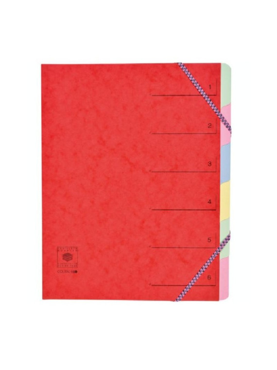 Trieur dos extensible à élastiques carte lustrée - 6 compartiments