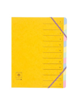 Trieur dos extensible à élastiques carte lustrée - 12 compartiments