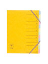 Trieur dos extensible à élastiques carte lustrée - 12 compartiments