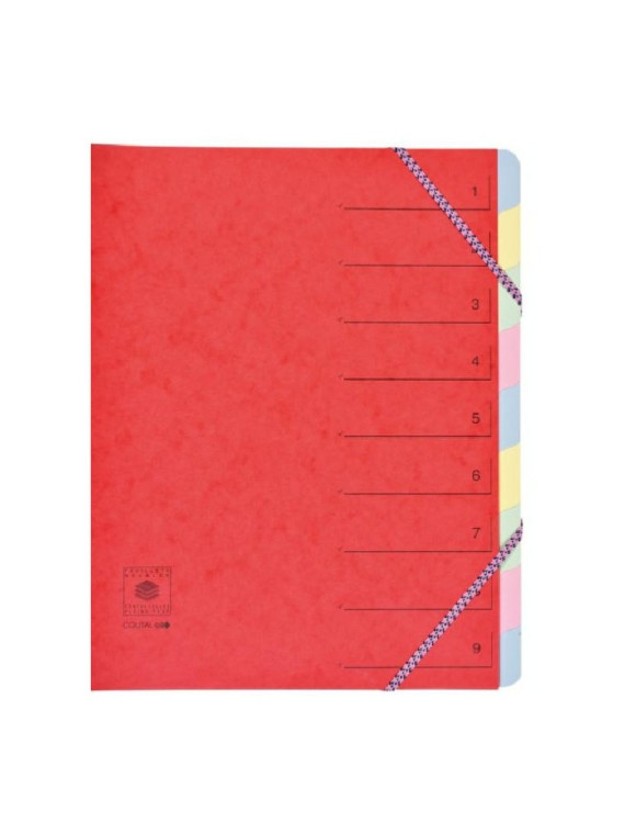 Trieur dos extensible à élastiques carte lustrée - 9 compartiments