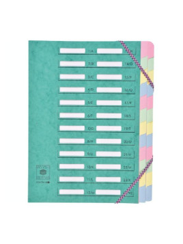 Trieur dos extensible à élastiques carte lustrée - 24 compartiments