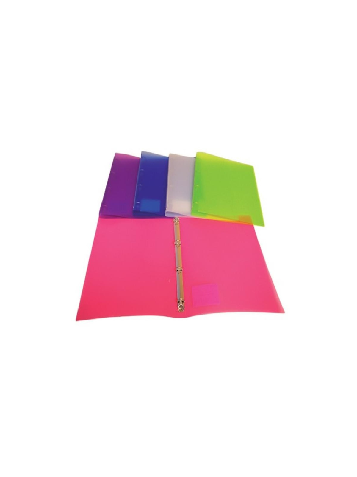 Classeur 4 anneaux souple polypro A4 - Dos 2 cm - Coloris assortis - Le lot de 2