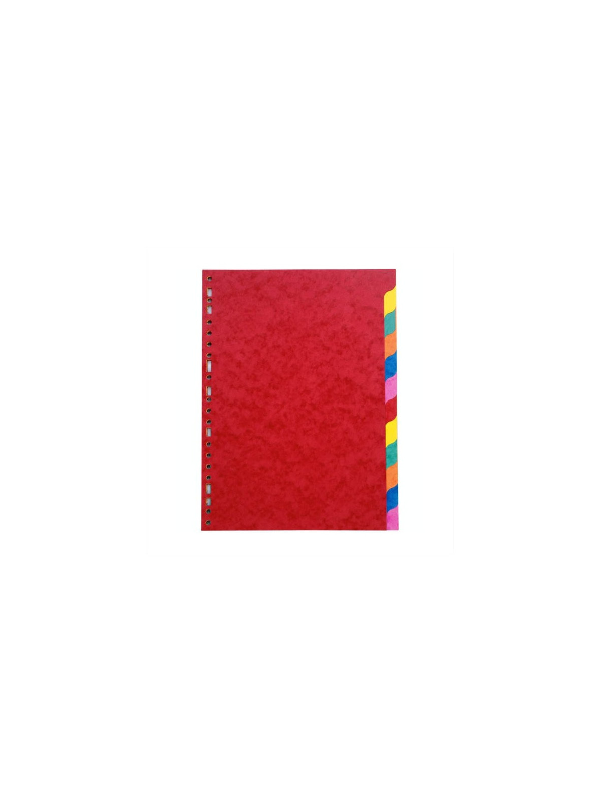 Intercalaires A4 12 touches - Carte lustrée 225g - Le lot de 2 jeux