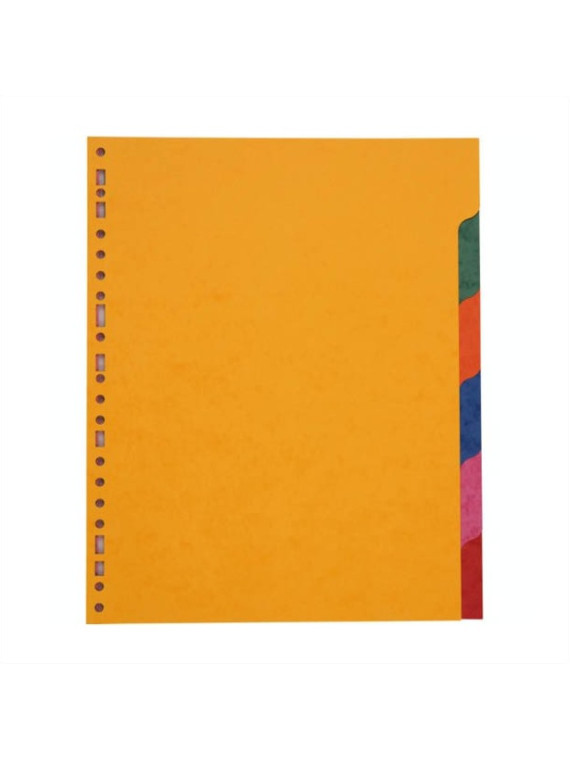 Intercalaires A4+ 6 touches - Carte lustrée 225g - Le lot de 2 jeux
