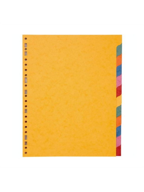 Intercalaires A4+ 12 touches - Carte lustrée 225g - Le lot de 2 jeux