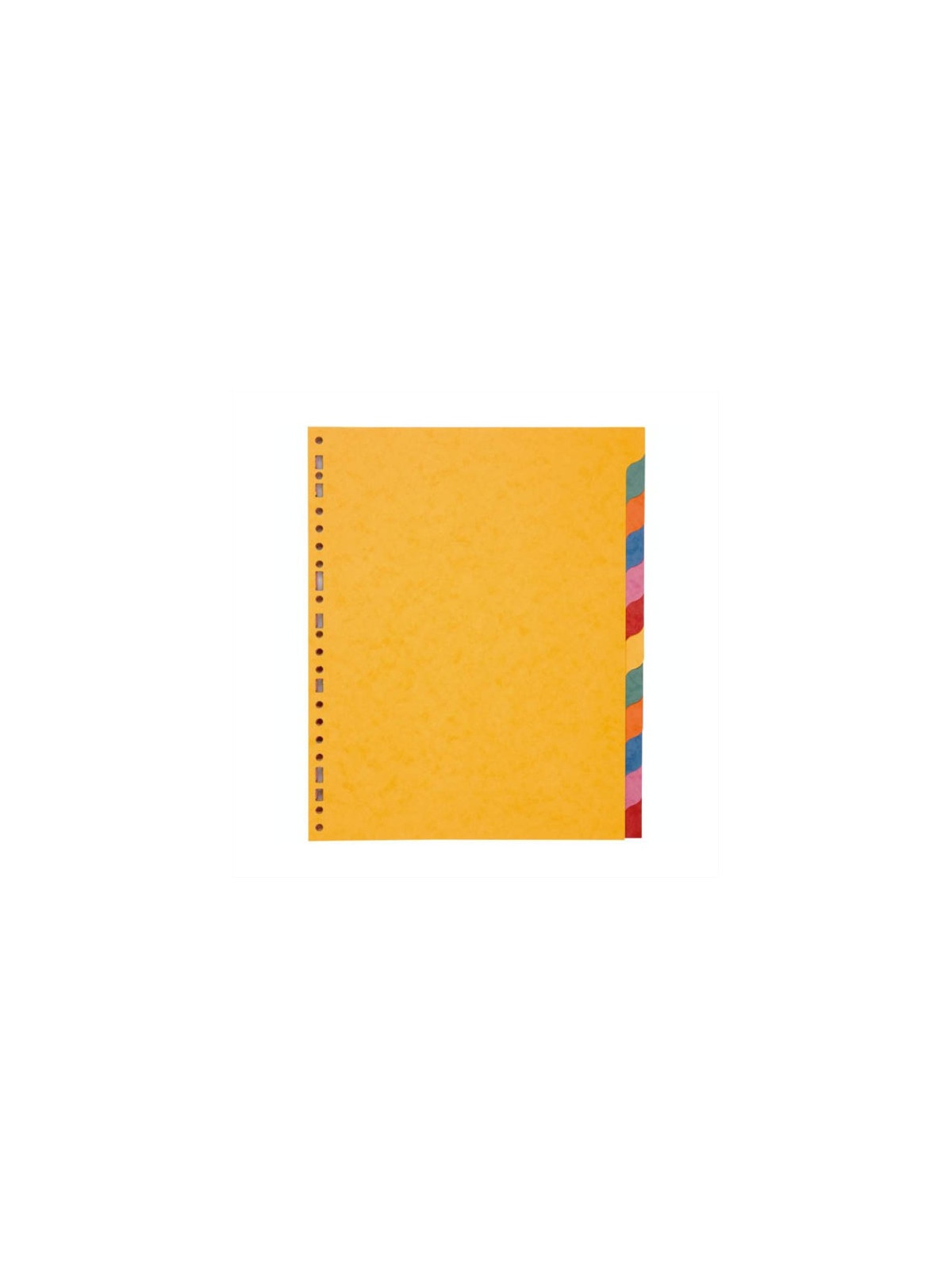 Intercalaires A4+ 12 touches - Carte lustrée 225g - Le lot de 2 jeux