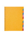 Intercalaires A4+ 12 touches - Carte lustrée 225g - Le lot de 2 jeux