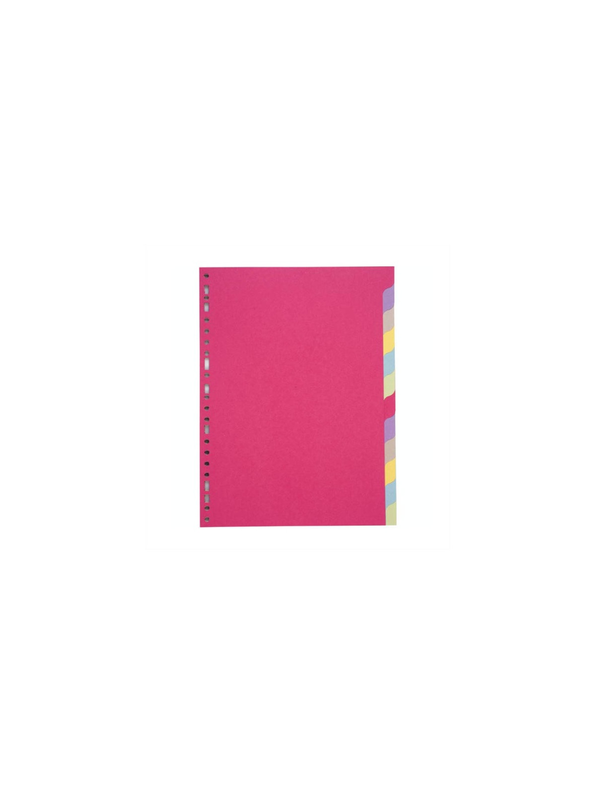 Intercalaires A4 12 touches - Carte recyclée 180g - Le lot de 2 jeux
