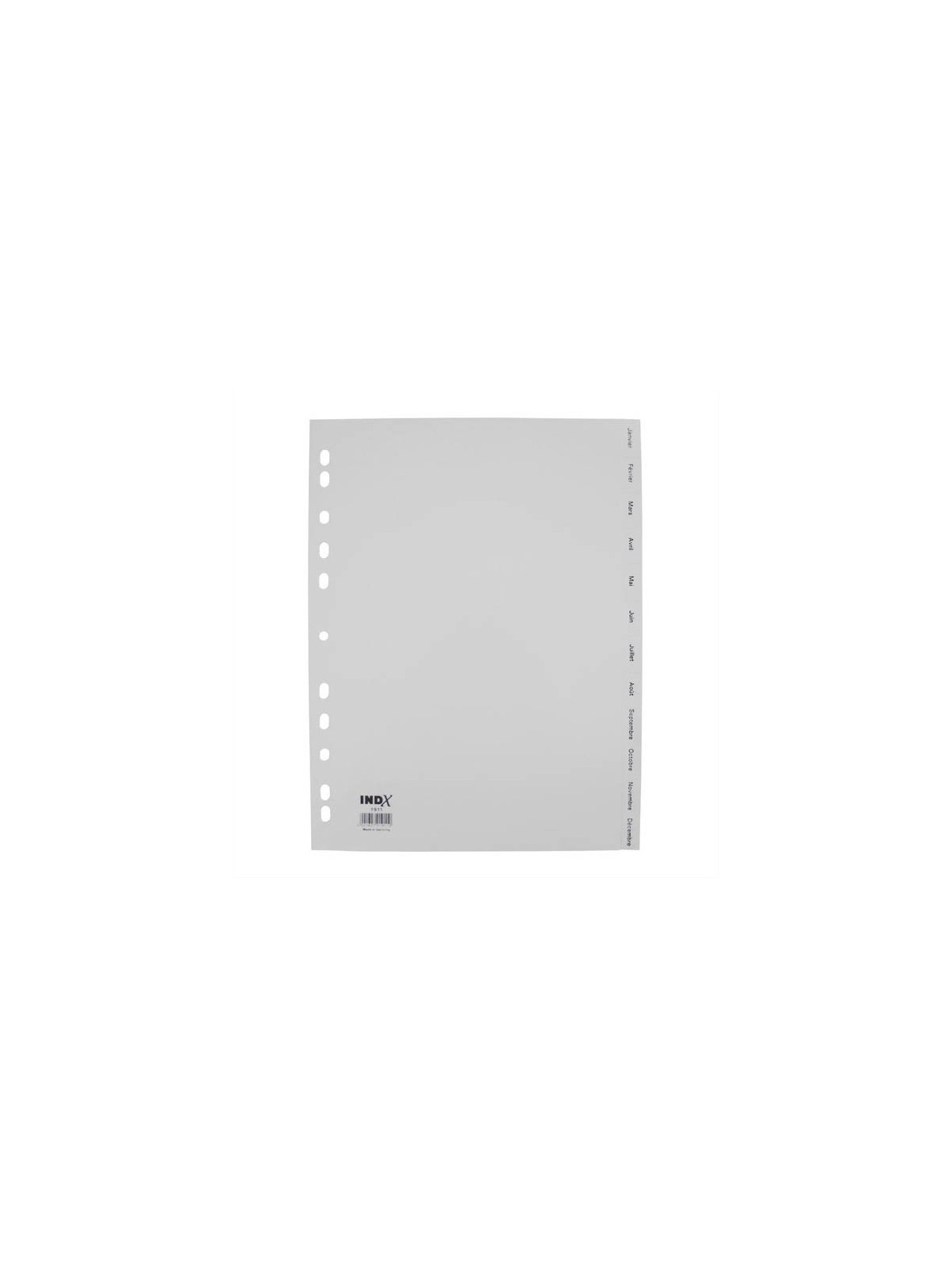 Intercalaires A4 mensuels 12 touches polypro - Le lot de 2 jeux