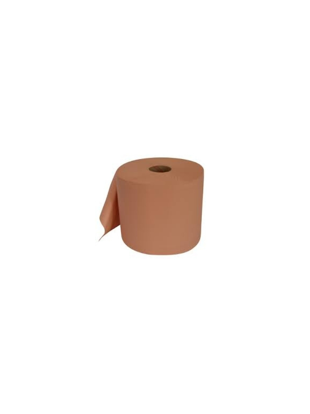 Essuie-mains bobine Ecolabel - 1000 feuilles - Chamois - Le lot de 2