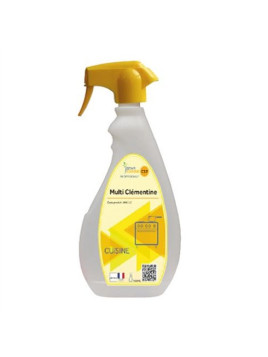 Nettoyant alimentaire sols & surfaces 5 en 1 - Le pulvérisateur 750 ml